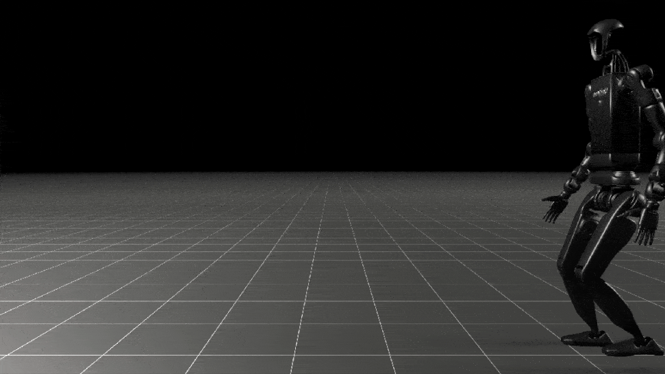 Humanoid Robot Walking