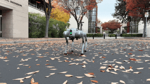 Quadruped Robot Handstand